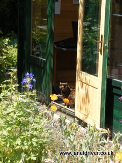 The Studio